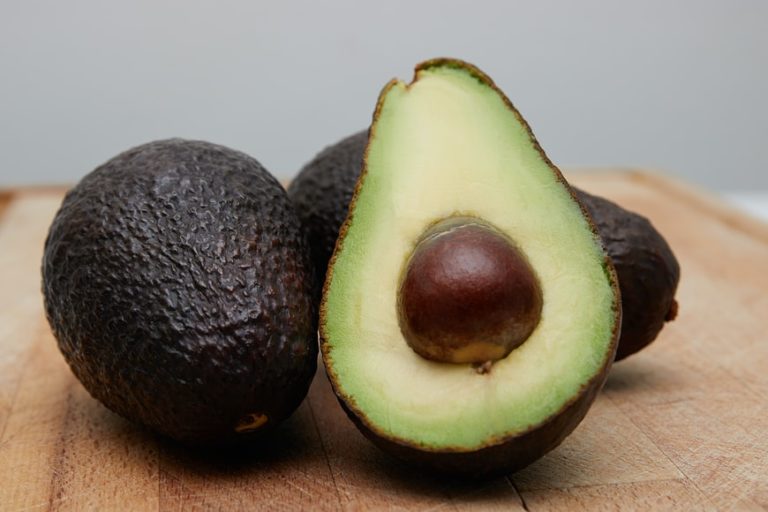 TOP AVOCADO EXPORTERS IN KENYA Freshela Exporters