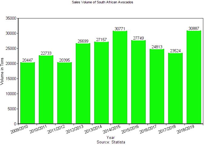 South Africa's Avocado Market Report 2022 Freshela Exporters