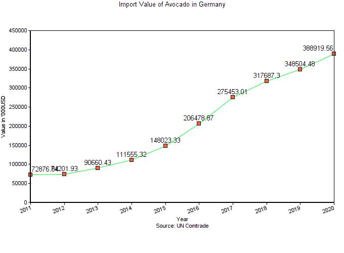 Avocado Market Price in Germany 2022 Prices and Charts Freshela
