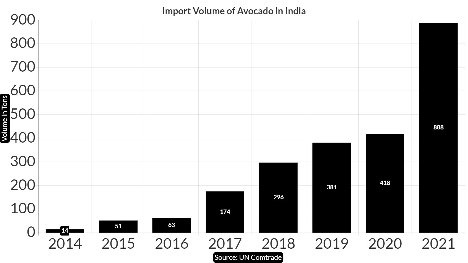 The Complete Guide to Importing Avocado in India 2023 - Freshela Exporters